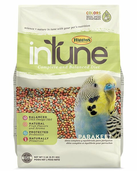 InTune Parakeet Food